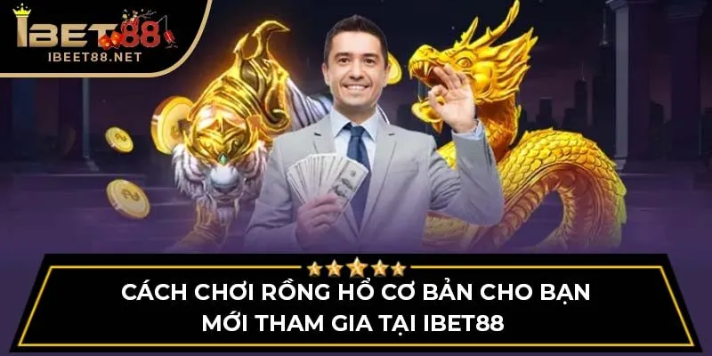 Cách chơi Rồng Hổ cơ bản cho bạn mới tham gia tại IBET88 