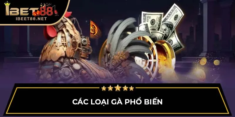 Các loại gà phổ biến