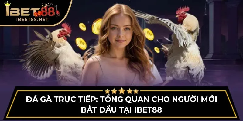 Đá Gà Trực Tiếp: Tổng Quan Cho Người Mới Bắt Đầu Tại Ibet88